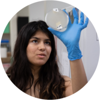 一位戴着橡胶手套的女学生拿着培养皿检查实验室样本.